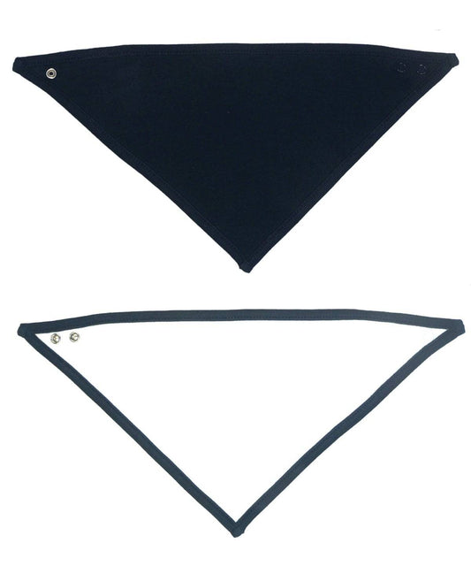 Bandana bib